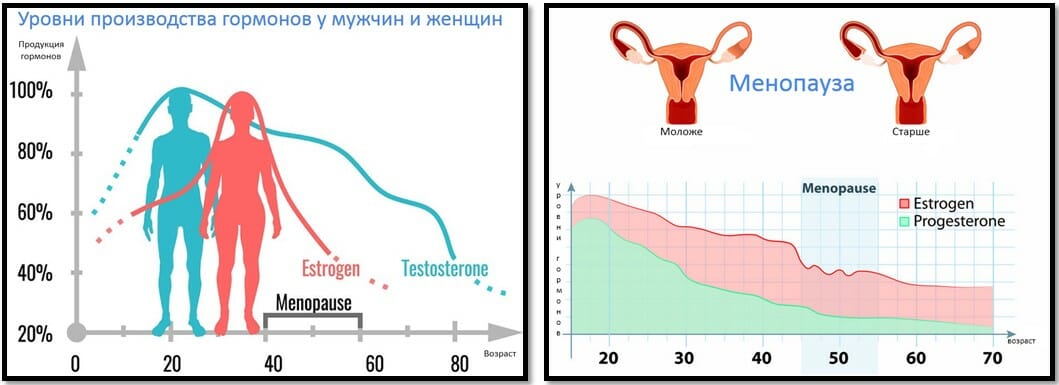 Снижение Веса И Менструальный Цикл