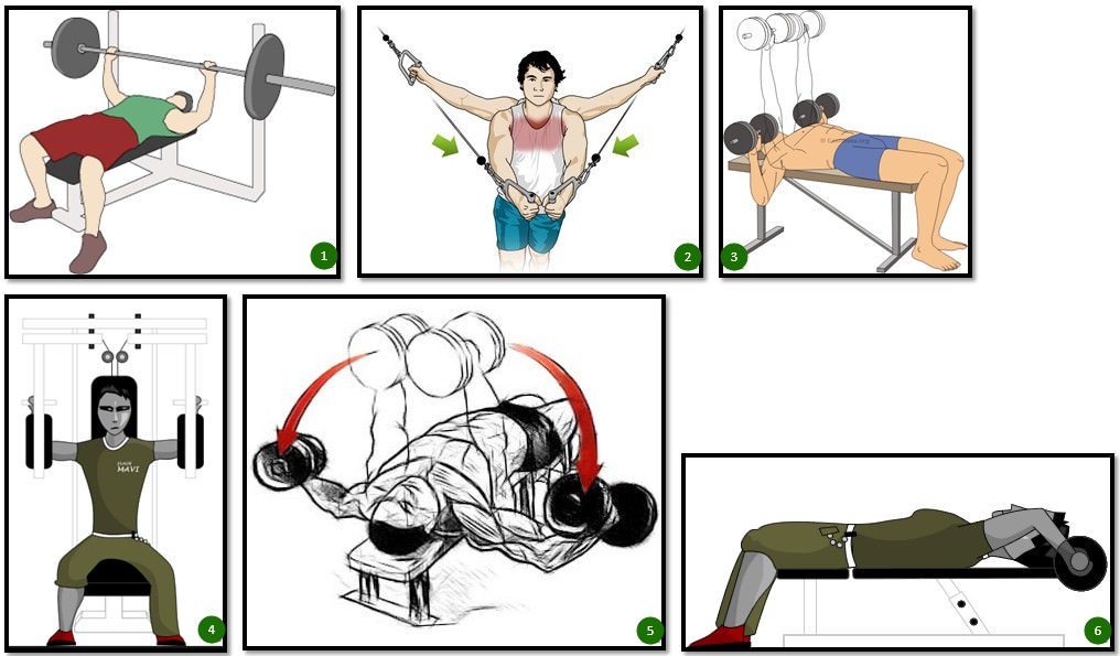 Упражнения на грудные мышцы