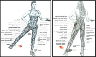 Отведение ноги в кроссовере мышцы в работе
