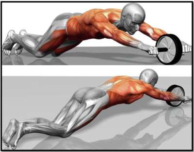 Упражнение ролик для пресса мышцы
