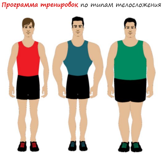 Программа тренировок для каждого типа телосложения