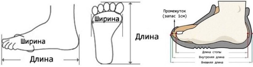 определение размера обуви