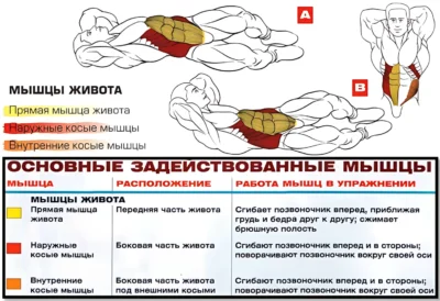 боковые скручивания мышцы 2 боковые скручивания мышцы 2