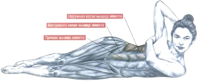 Косые скручивания мышцы боковые скручивания мышцы