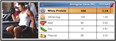 luchshij-protein-dlya-myshcz-posle-trenirovki.-rezultaty-issledovanij