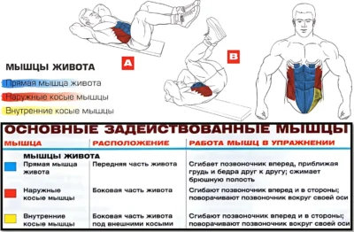 обратные скручивания мышцы 2