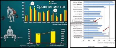 Сравнение становой тяги и тяги сумо исследование PMID 11932579 мини