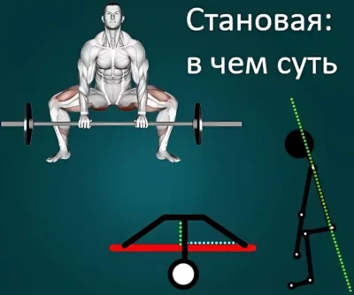 Становая тяга Сумо в чем суть, техника векторы