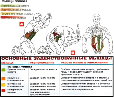 упражнение молитва мышцы 2 упражнение молитва мышцы 2