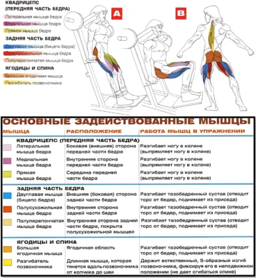 Гакк-приседания мышцы 2