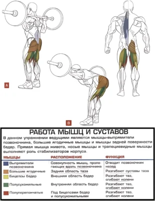 Гуд монинг в смита мышцы 2