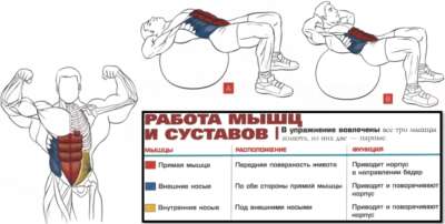 скручивания на фитболе мышцы 2