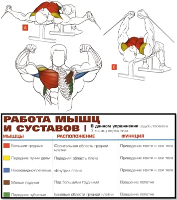 Сведение в кроссовере лежа мышцы работа