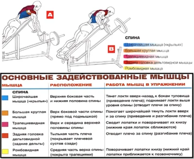 Т-грифа с упором мышцы 2 Т-грифа с упором мышцы 2