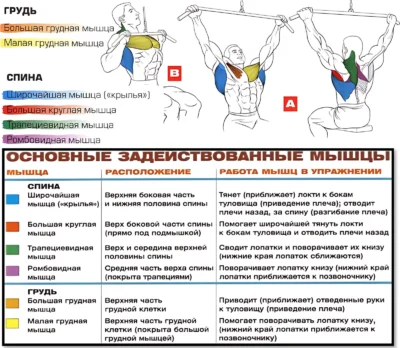 Тяга верхнего блока мышцы