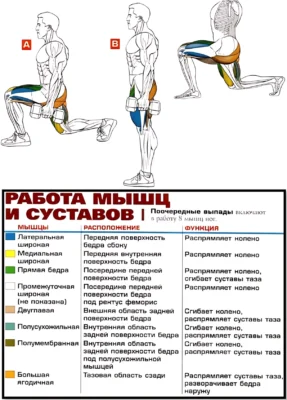 выпады с гантелями мышцы up
