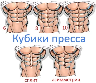 количество кубиков пресса