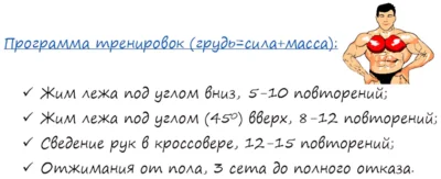 Программа тренировок на грудь