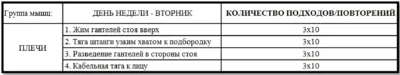 программа тренировок на плечи 3