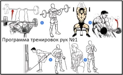 программа тренировок рук 1 фото