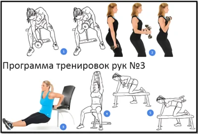 программа тренировок рук 3 фото