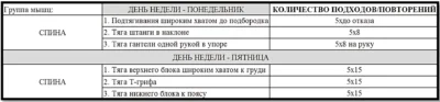 программа тренировок спины 1