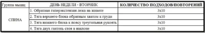 программа тренировок спины 2