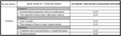 программа тренировок спины 3