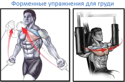 растягивание груди упражнения на растяжку грудных мышц