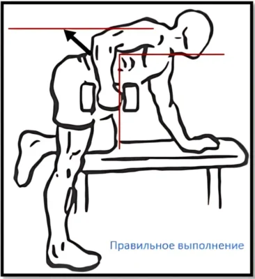 разгибание на трицепс с упором о скамью Разгибание с гантелью на трицепс тренировочный совет