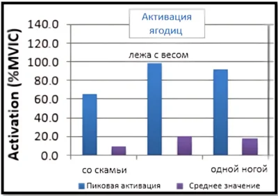 Ягодичный мостик активация ягодиц исследование