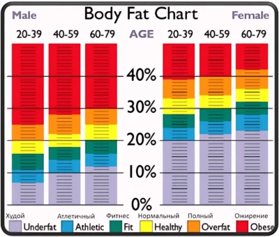 процент жира в организме с возрастом body fat chart
