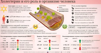роль холестерина в организме человека холестерин и его роль в организме инфографика