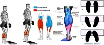 подъемы на носки стоя - разное положение стоп и гипертрофия икроножных мышц