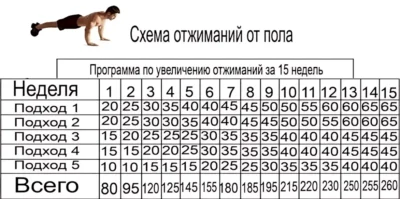 shema-otzhimaniy-ot-pola-programma