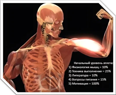 типичный представитель тренажерного зала, портрет физических характеристик