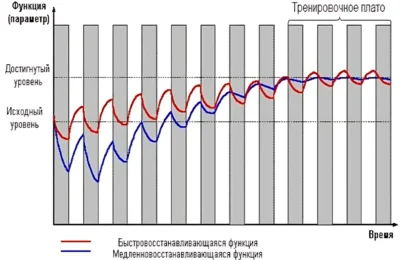 trenirovochnoe-plato-grafik