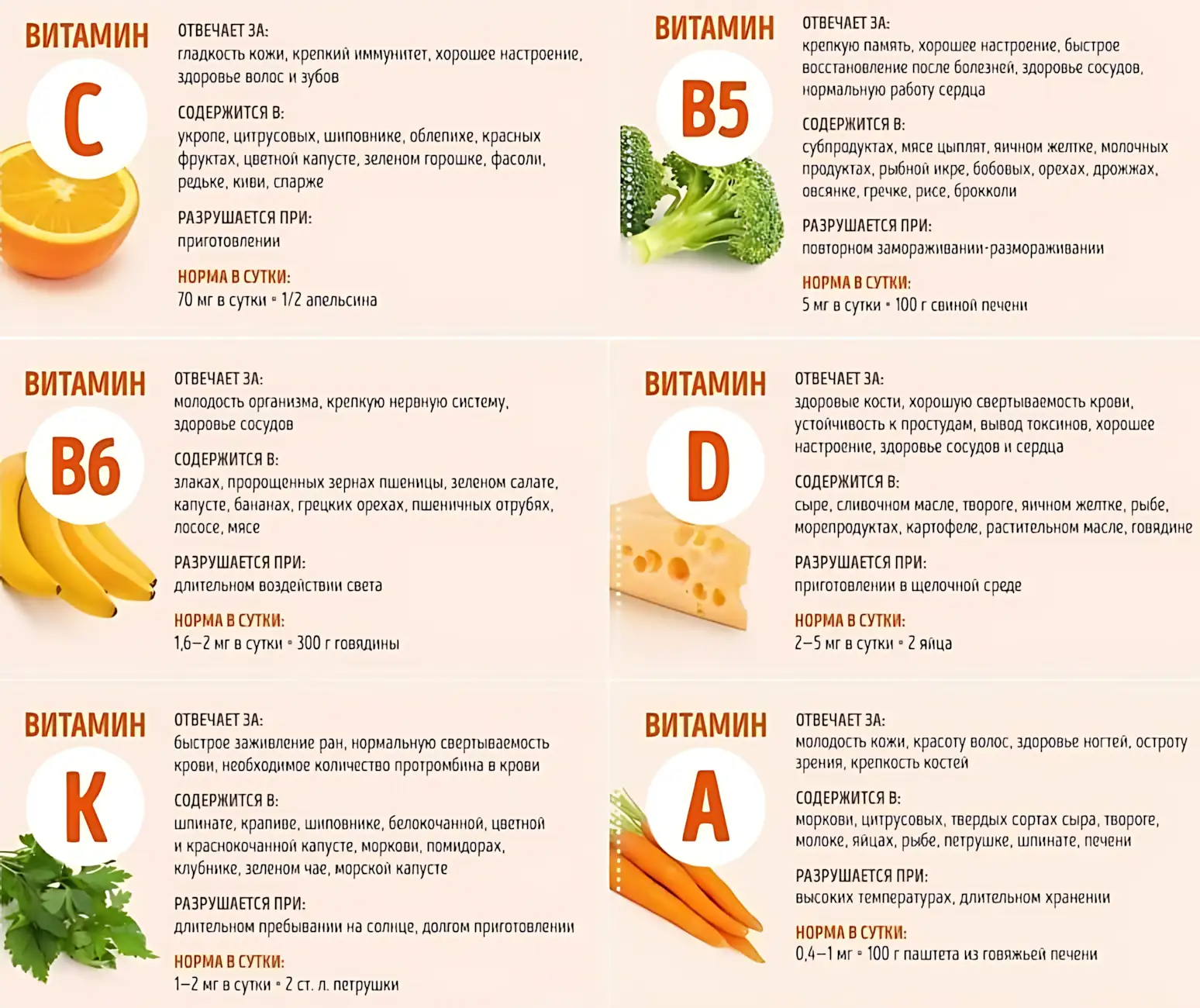 vitaminyi-svodnaya-grafika-