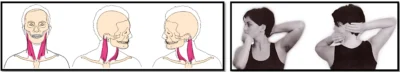Вращение (neck rotation)