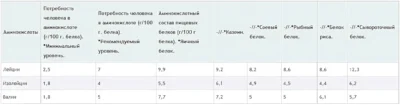 аминокислотный состав пищевых белков