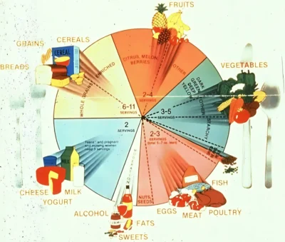 food wheel пищевое колесо