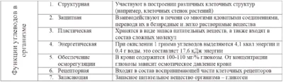 функции углеводов функции углеводов