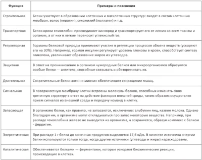 funktsii-belkov