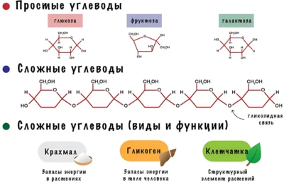 углеводы, классификация классификация углеводов, виды углеводов схема