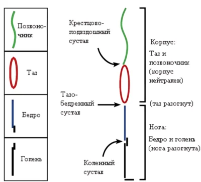 условные обозначения движений в коссфите krossfit-uslovnyie-oboznacheniya-dvizheniy