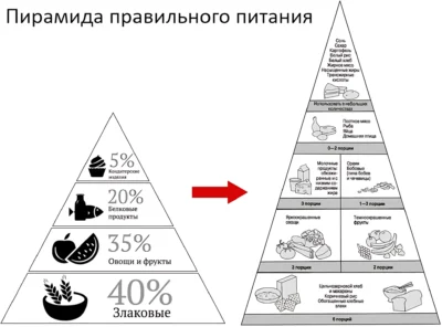 пищевая пирамида пирамида пп