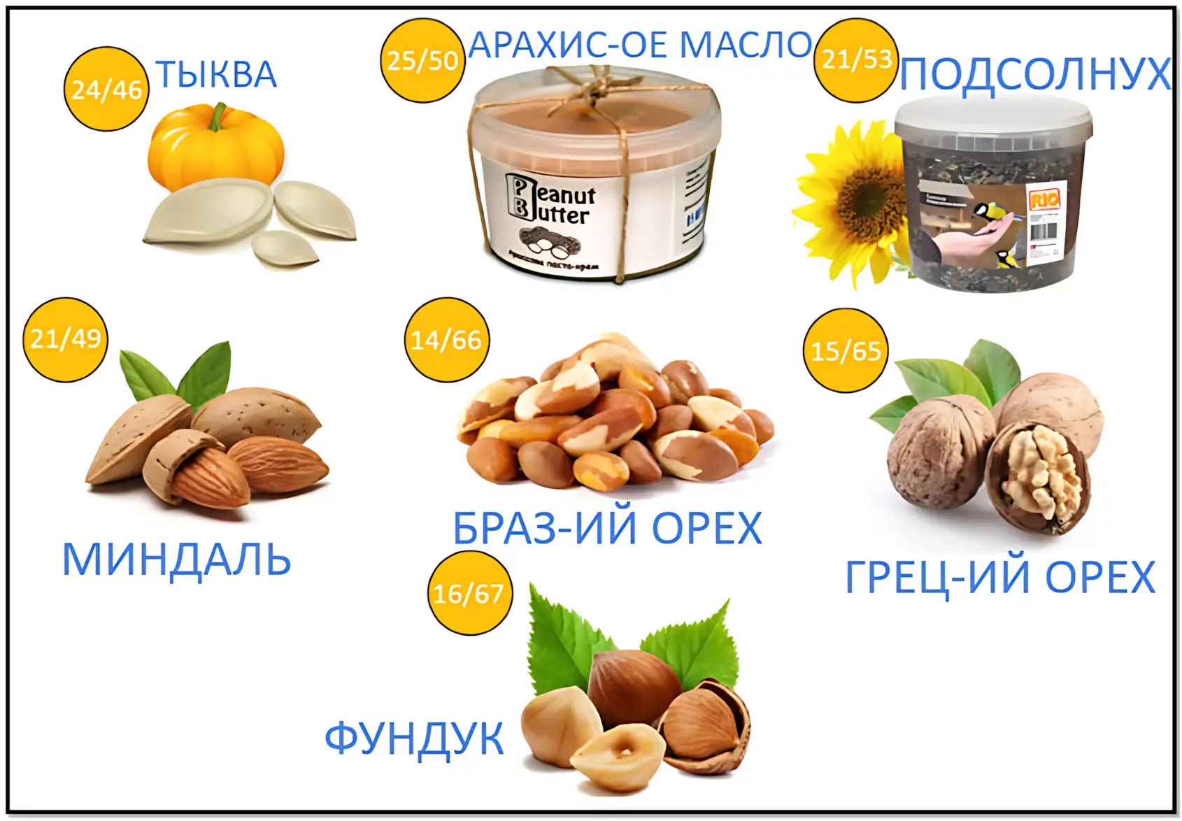 продукты богатые белком орехи кбжу