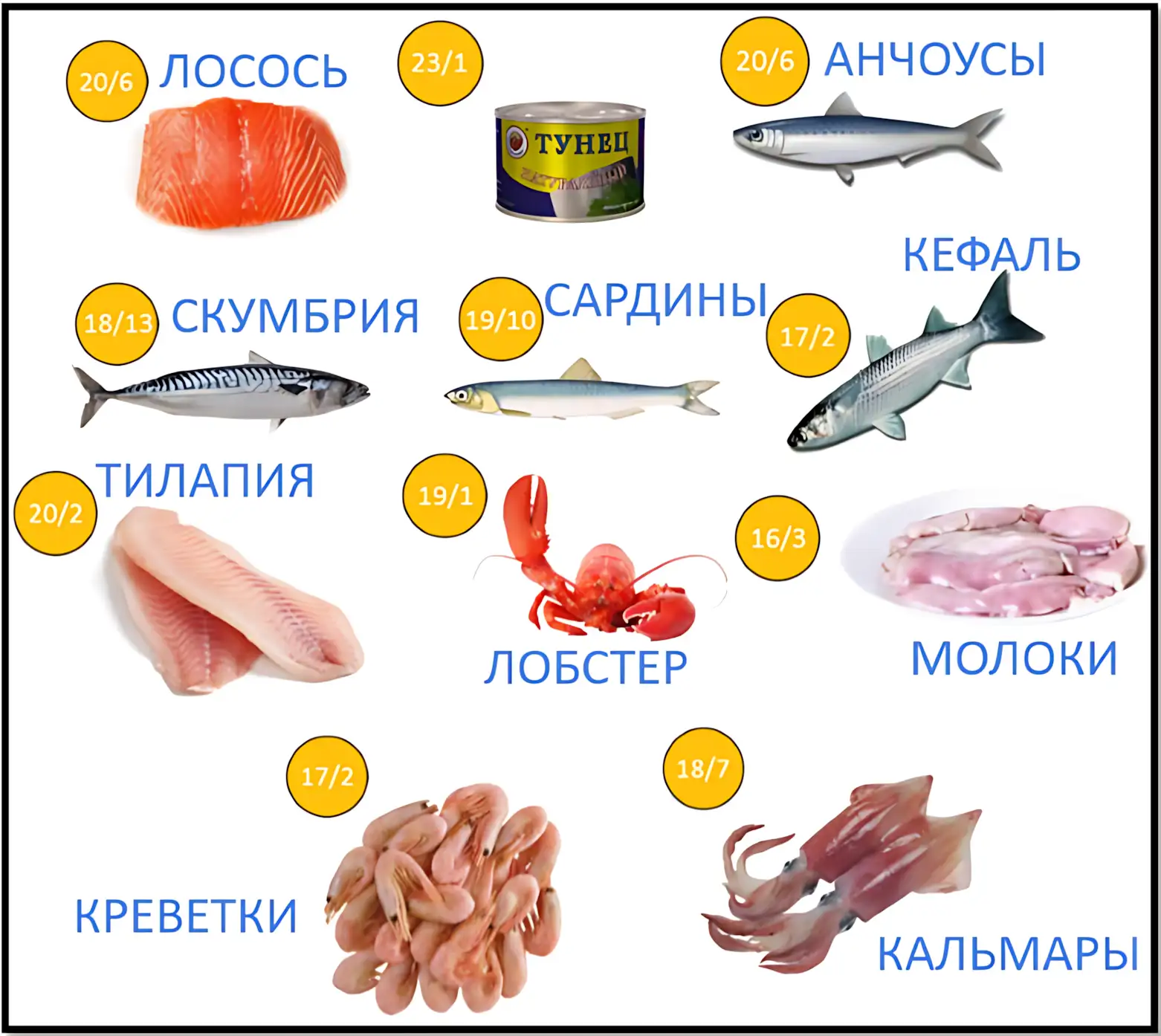 продукты богатые белком рыба и морепродукты кбжу