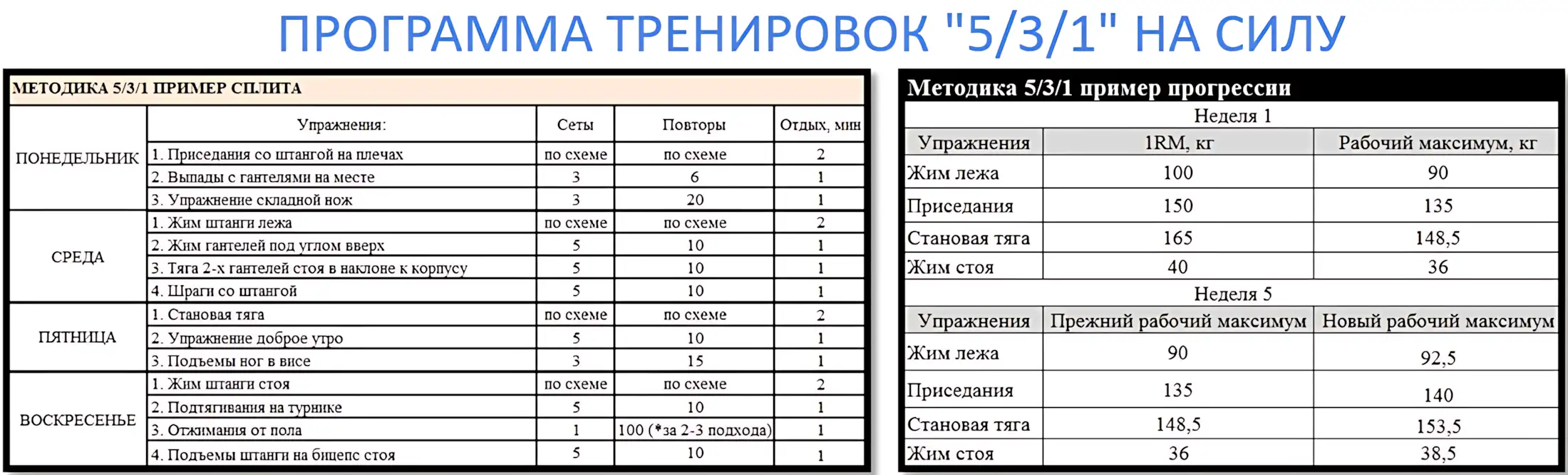 programma-trenirovok-5-3-1-na-silu