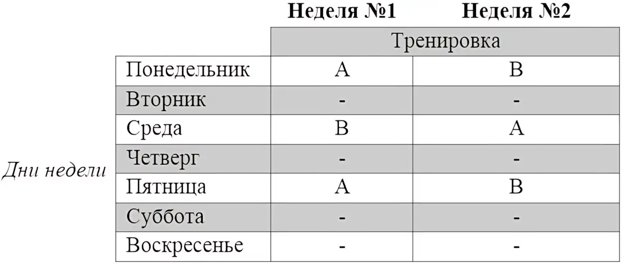 Схема тренинга на две недели_1 программа для начинающих